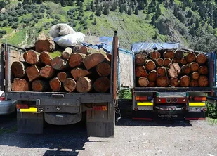 کشف 14 تن چوب قاچاق در ايجرود