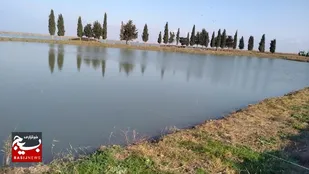 افزایش ۲۵ درصدی تولید ماهی در استان اردبیل تا سال آینده