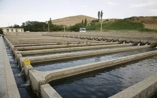 دعوت بنیاد برکت از  سرمایه گذاران برای دریافت اراضی کشاورزی با شرایط ویژه