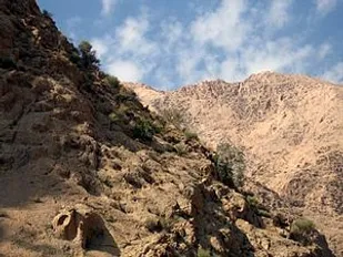 درگیری مسلحانه محیط&zwnj;بانان با شکارچیان غیرمجاز در ملایر