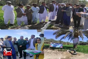 اولین سردخانه بمپور به بهره&zwnj;برداری رسید.