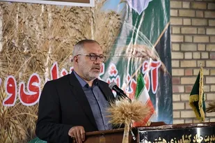 گندم خریداری شده از قرار کیلویی 15 هزار تومان پرداخت می شود