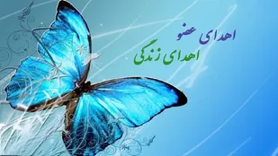 زندگی دوباره بیماران نیازمند پیوند عضو در تبریز