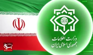سرشاخه&zwnj;های قیمت&zwnj;گذاری جعلی ارز&zwnj;های خارجی دستگیر شدند