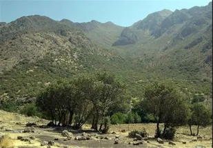 نظارت شبانه روزی بر مناطق شکار ممنوع نهاوند
