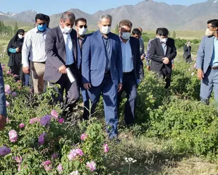 صنایع تبدیلی بخش کشاورزی باید در کنار عرصه های تولید ایجاد شود