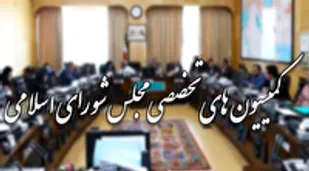 حضور وزرای صمت و جهاد کشاورزی در کمیسیون&zwnj;های مجلس