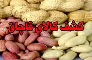 محموله خشکبار قاچاق در میانه به ارزش ۱۰ میلیارد ریال توقیف شد