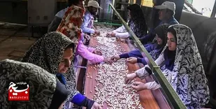 افتتاح بازارچه اشتغال&zwnj;زایی بانوان در بهبهان