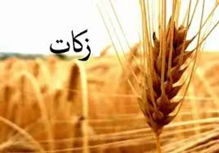 طرح ضربتی زکات در آذربایجان شرقی اجرا می شود