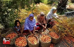از تولید مسجد محور تا صادرات
