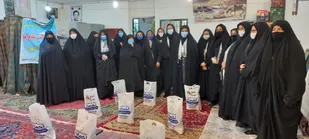 از پیاده روی تا مسابقات دارت توسط خواهران بسیجی شاهرود+ تصاویر