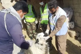 برگزاری اردوی جهادی دامپزشکی در مناطق محروم زهک