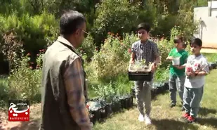 کاشت ۴۰۰ نهال توسط دانش آموزان همیار محیط زیست در مسجدسلیمان