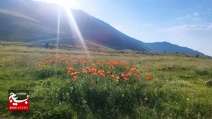 پیش&zwnj;بینی بارش&zwnj;های تابستانی برای برخی مناطق اردبیل