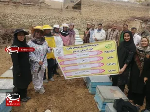 برگزاری کارگاه آموزشی زنبورداری بسیج مهندسین کشاورزی شاهرود+ تصاویر