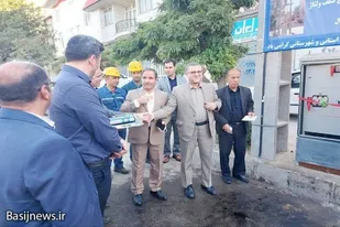 ۸ پروژه برق رسانی در اسدآباد افتتاح شد