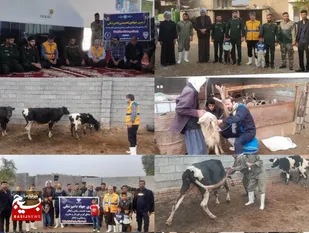 برگزاری اردوی جهادی دامپزشکی در مناطق محروم کرخه به مناسبت هفته مقاومت