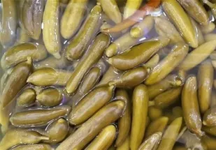 کبودراهنگ قطب تولید خیارشور استان همدان