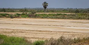 گرد و غبار در راه خوزستان