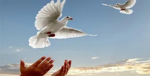 ۷۱ زندانی جرائم غیرعمد استان سمنان آزاد شدند