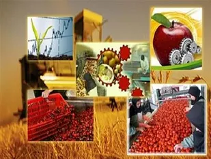 اجرای دوهزار طرح اشتغالزایی بنیاد برکت در آذربایجان شرقی