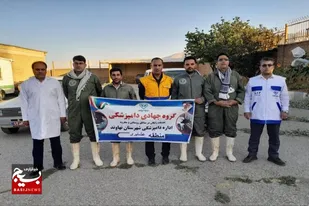 ارائه خدمات دامپزشکی رایگان به مناسبت هفته دولت در نهاوند