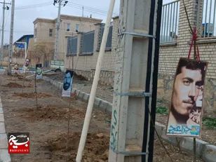 کاشت نهال در شهرک ها و نواحی صنعتی استان خراسان رضوی به یاد شهدا