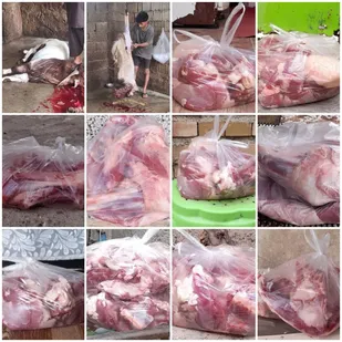 اهدای ۲۰ کیلوگرم گوشت به نیازمندان کهیر توسط خیر نیک&zwnj;اندیش تهرانی
