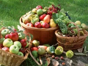 کردستان قطب تولید محصولات باغی غرب کشور