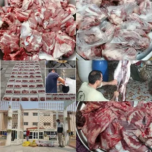 ذبح 76 رأس گوسفند و یک رأس گاو در کنگان به مناسبت عید قربان