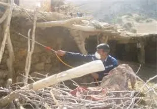 سم پاشی اماکن پرورش دام در مناطق محروم قزوین
