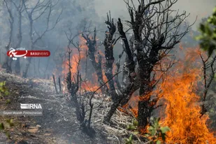 آتش&zwnj;سوزی گسترده منابع طبیعی سولک صیدون مهار شد