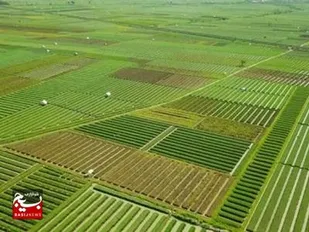 بازدید از ده&zwnj;ها هکتار اراضی واگذاری خوزستان