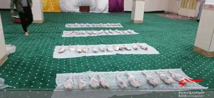 ۱۰۰کیلو گوشت گرم بین نیازمندان روستاهای حاشیه اروندرود توزیع شد
