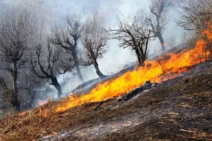 اجرای برنامه&zwnj;های آموزشی مقابله با آتش&zwnj;سوزی در روستاهای اندیکا
