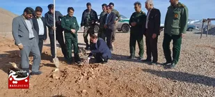 کاشت ۴۵ نهال درخت در تپه نورالشهدای ریگ