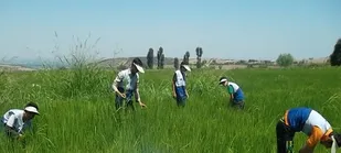 تبلور اقتصاد مقاومتی در طرح یک روزه دانش آموزان جهادی