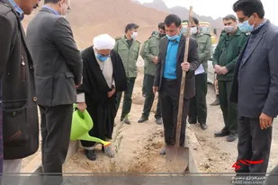 کاشت ۳۰۰ اصله نهال زیتون در شهرستان تفت