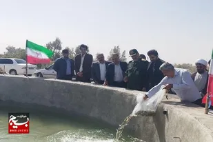 جهش اشتغال روستایی زهک با پرورش ماهی