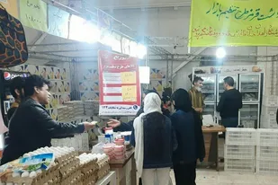 کالاهای اساسی بخش کشاورزی برای نمایشگاه های بهاره و طرح ضیافت ماه مبارک رمضان تامین و توزیع شد