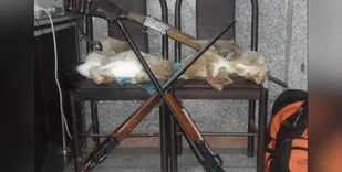 شکارچیان غیرمجاز در روانسر در کمین مأموران گرفتار شدند