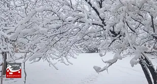 موجی از شکرگزاری با بارش برف در بام ایران