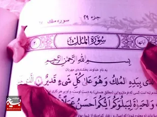 برگزاری جلسه تفسیر سوره مبارکه ملک در مجتمع الوند محله سجادیه قم