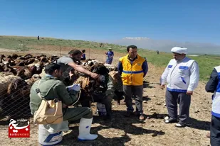 برگزاری اردوی جهادی دامپزشکی در منطقه عشایری شهرستان نهاوند