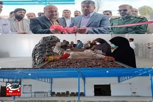 یک واحد سردخانه و بسته بندی خرما ۳ هزار تنی در ایرانشهر به بهره برداری رسید
