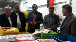 نقش فرآوری محصولات باغی کشاورزی در ارتقاء بهره وری
