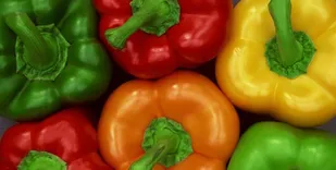دینار عراقی لای فلفل دلمه