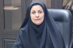 طرح&nbsp; شهید حاج قاسم سلیمانی از ۱۷ اذر در گناوه اجرایی می شود