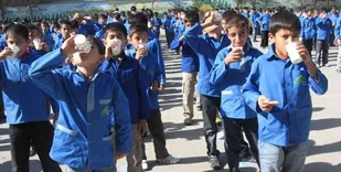 توزیع شیر رایگان در ۳ هزار و ۴۰۴ مدرسه کرمانشاه به&zwnj;زودی آغاز می&zwnj;شود